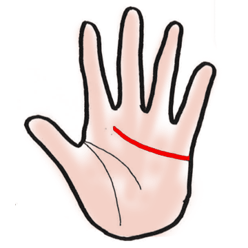 感情線のイラスト：人差し指と中指の間にゆるいカーブで伸びる