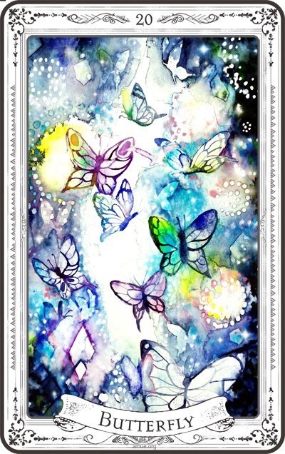 蝶々のアニマルメディスンカードのイラスト