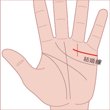 結婚線が太陽線を横切っているの画像