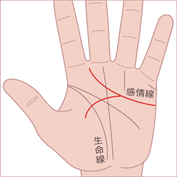 感情線から始まり、生命線を山形に横切っている線があるの画像