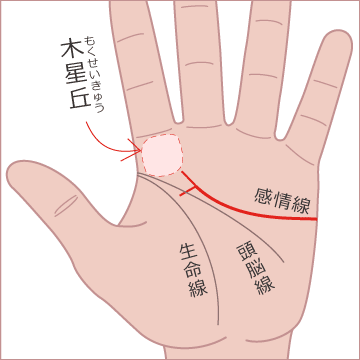 末端が２つで、一方は木星丘に伸び、もう一方は生命線と頭脳線の間に伸びるの画像
